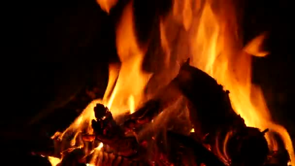 Videobeelden van een brandend en vonkend kampvuur 's nachts met brandend bos in 4K resolutie. — Stockvideo