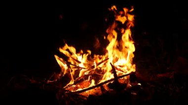 4K çözünürlüklü yanan ağaçlarla geceleyin yanan ve kıvılcım saçan bir kamp ateşinin video görüntüleri..