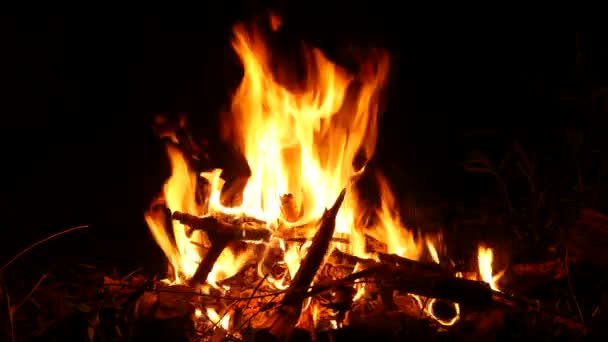 Videoaufnahmen eines brennenden und funkelnden Lagerfeuers in der Nacht mit brennenden Wäldern in 4K-Auflösung. — Stockvideo