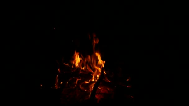Images vidéo d'un feu de camp allumé et allumé la nuit avec des bois brûlés en résolution 4K. — Video