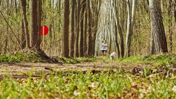 VERESEGYHAZ HUNGRÍA - 30 DE MARZO DE 2019: Ver a una joven corriendo y entrenando canicross con un trineo durante el evento Medve-kupa Bear-cup en Veresegyhaz Hungría en un día soleado. — Vídeos de Stock