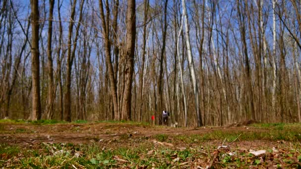 VERESEGYHAZ HONGRIE - 30 MARS 2019 : Vue sur les chiens de traîneau en train de courir avec leur entraîneur sur un scooter lors de l'événement Medve-kupa Bear-cup à Veresegyhaz Hongrie par une journée ensoleillée. — Video