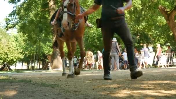 SEZKESFEHERVAR, HUNGARY - 2019年8月19日:晴れた夏の日に中世の王の日のイベント中に馬ハンガリーに乗っている子供ながら、散歩のために馬を取る男. — ストック動画