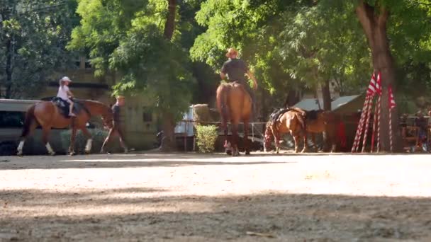 SEZKESFEHERVAR, HUNGARY - 2019年8月19日:晴れた夏の日に中世の王の日のイベント中に馬ハンガリーに乗っている子供ながら、散歩のために馬を取る男. — ストック動画