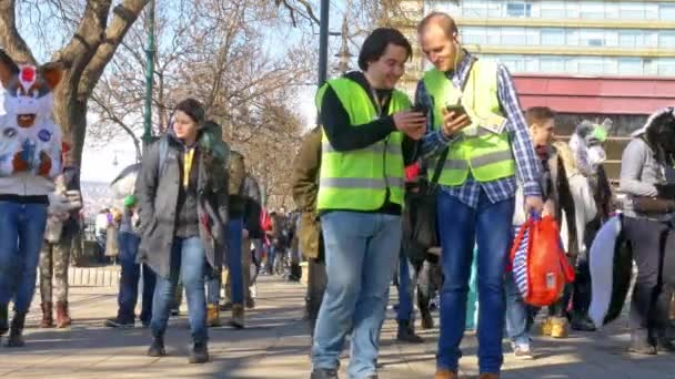 BUDAPEST, MAĎARSKO - FEBRUARY 01, 2020: Lidé oblečení jako zvířecí kostým nazývaný jako chlupatá procházka po ulicích Budapešti během akce Farsang Carnival za slunečného dne v Maďarsku. — Stock video