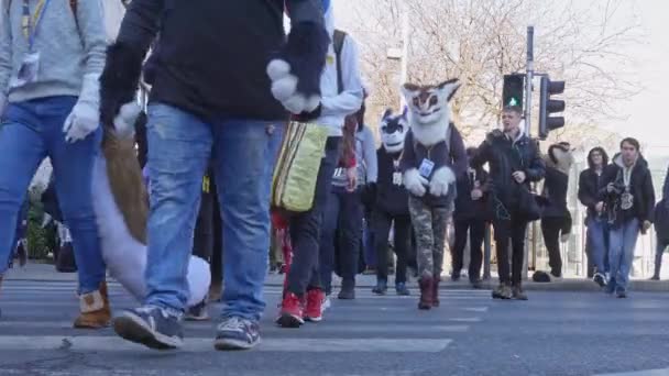BUDAPEST, HUNGARY - 1 Şubat 2020: Macaristan 'da güneşli bir günde Farsang Karnavalı sırasında Budapeşte sokaklarında kürklü diye adlandırılan bir hayvan kostümü giyen insanlar. — Stok video