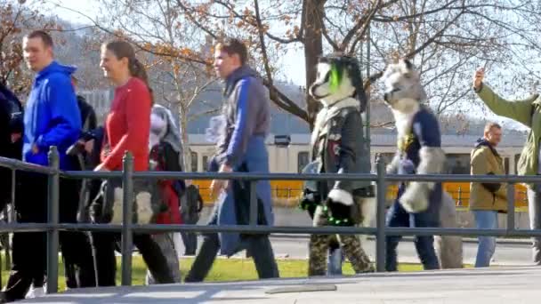 BUDAPEST, WĘGRY - LUTY 01, 2020: Ludzie przebrani za zwierzęta przebrani za futrzane chodzący po ulicach Budapesztu podczas imprezy Karnawał Farsang w słoneczny dzień na Węgrzech. — Wideo stockowe