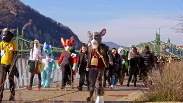 BUDAPEST, HUNGARY - FEBRUARY 01, 2020: People dressed as in an animal costume called as furry walking on the streets of Budapest during the event Farsang Carnival on a sunny day in Hungary. — Stock Video