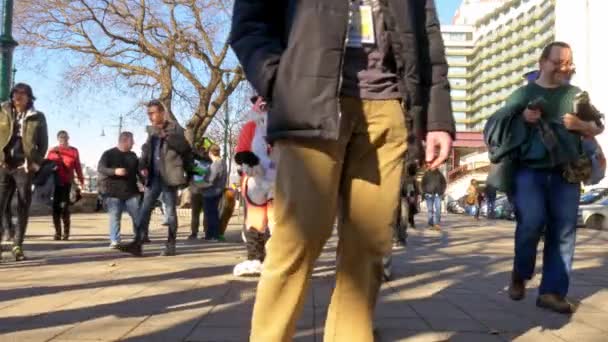 BUDAPEST, HUNGRIA - FEVEREIRO 01, 2020: Pessoas vestidas como um traje de animal chamado peluche andando pelas ruas de Budapeste durante o evento Carnaval Farsang em um dia ensolarado na Hungria. — Vídeo de Stock