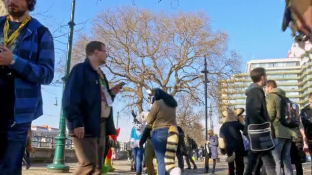BUDAPEST, MAĎARSKO - FEBRUARY 01, 2020: Lidé oblečení jako zvířecí kostým nazývaný jako chlupatá procházka po ulicích Budapešti během akce Farsang Carnival za slunečného dne v Maďarsku. — Stock video