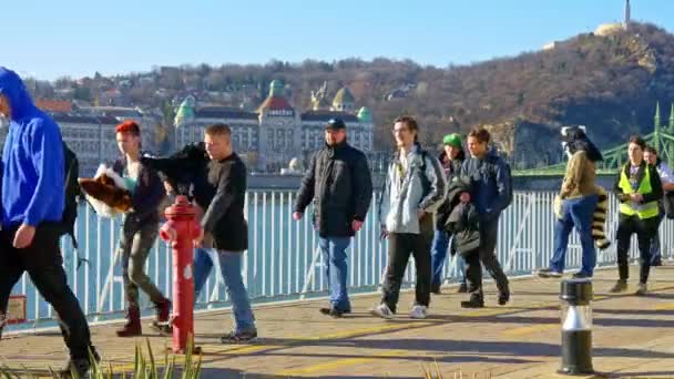 BUDAPEST, MAĎARSKO - FEBRUARY 01, 2020: Lidé oblečení jako zvířecí kostým nazývaný jako chlupatá procházka po ulicích Budapešti během akce Farsang Carnival za slunečného dne v Maďarsku. — Stock video