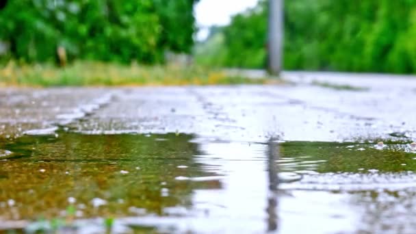 Uitzicht op de zware regen op het beton. — Stockvideo