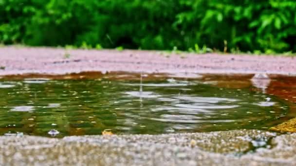 混凝土上的大雨及沙井. — 图库视频影像