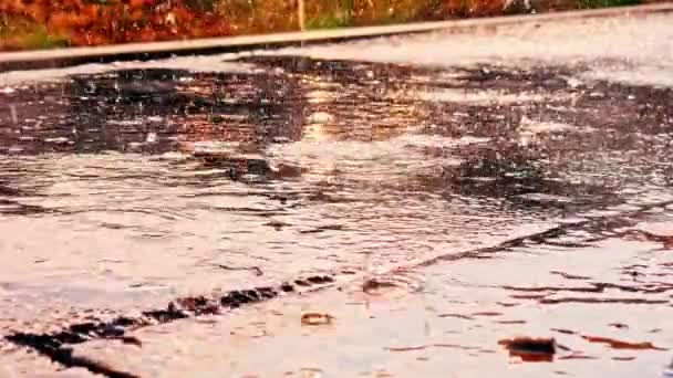 看混凝土上的大雨. — 图库视频影像