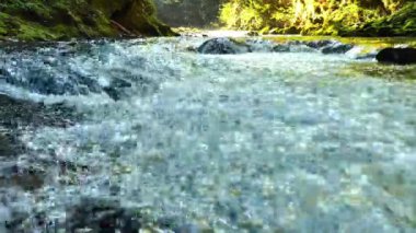 Bled, Triglav, Slovenya yakınlarındaki Vintgar vadisindeki şelaleye bakın.