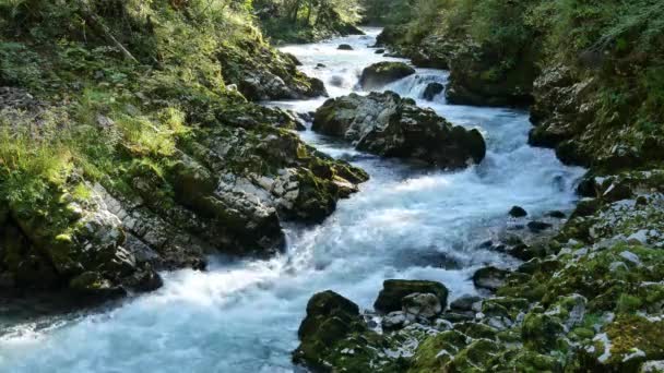 Blick auf den Wasserfall in der Vintgar-Schlucht bei Bled, Triglav, Slowenien — Stockvideo