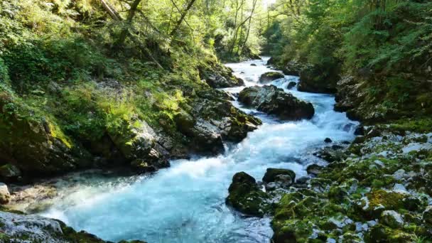 Blick auf den Wasserfall in der Vintgar-Schlucht bei Bled, Triglav, Slowenien — Stockvideo