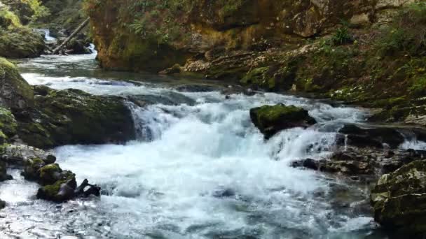 Blick auf den Wasserfall in der Vintgar-Schlucht bei Bled, Triglav, Slowenien — Stockvideo