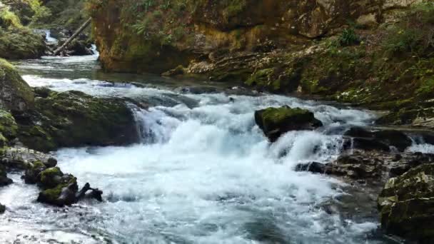 Widok na wodospad w wąwozie Vintgar w pobliżu Bled, Triglav, Słowenia — Wideo stockowe