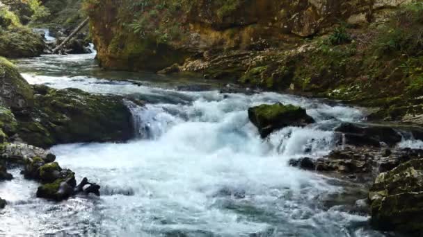 Kilátás a vízesésre a Vintgar szurdok közelében Bled, Triglav, Szlovénia — Stock videók