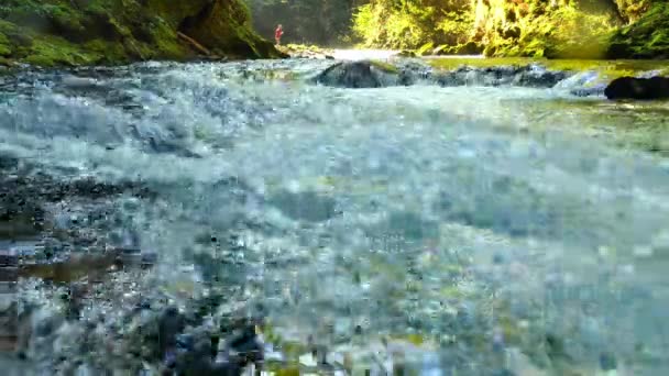 Blick auf den Wasserfall in der Vintgar-Schlucht bei Bled, Triglav, Slowenien — Stockvideo