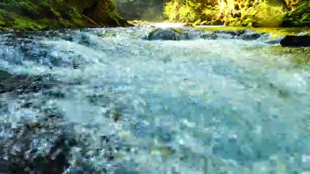 Pohled na vodopád u Vintgarské rokle u Bled, Triglav, Slovinsko — Stock video