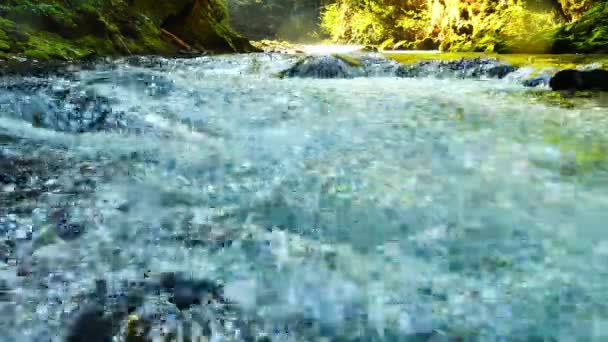 Pohled na vodopád u Vintgarské rokle u Bled, Triglav, Slovinsko — Stock video