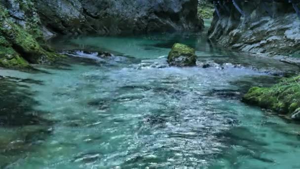 Вигляд на водоспад біля ущелини Вінтгар поблизу Бледі (Триглав, Словенія). — стокове відео