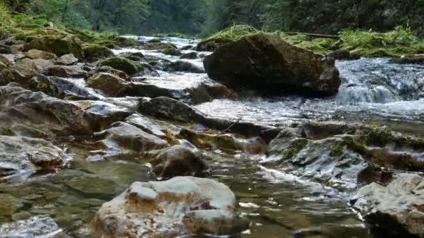 Kilátás a vízesésre a Vintgar szurdok közelében Bled, Triglav, Szlovénia — Stock videók