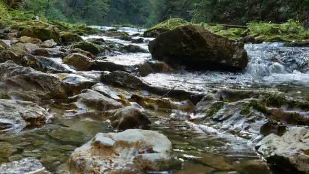 Widok na wodospad w wąwozie Vintgar w pobliżu Bled, Triglav, Słowenia — Wideo stockowe