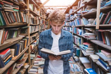 Yakışıklı genç hayran gözlerle rahat bir halk kütüphanesinde anlamına gelir ve kitaba benziyor. Öğrenci Kitaplığı'nda bir kitapla.