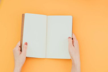  kopya alanı, turuncu bir arka plan açık bir defter tutan eller. Düz yatıyordu. Renkli bir arka plan üzerine açık defter