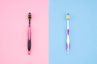 Pembe ve mavi arka plan üzerinde iki diş fırçaları. Düz yatıyordu