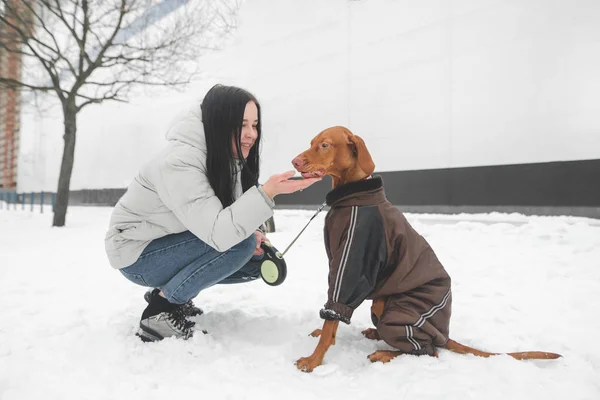 Smiling girl on the street with a beautiful dog wearing clothes walking on a cold winter day.Girls and dog sit in the snow and play,girl smiles and looks at pet. Beautiful girl and dog on the street.