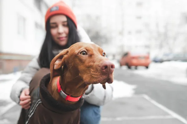 Porträtt Söt Brun Hund Gatan Tittar Bakgrunden Ung Kvinna Som — Stockfoto