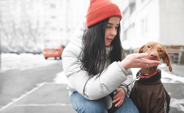 Boldog Lány Egy Kalapot Téli Ruhákat Ült Utcán Etetés Kutyáját — Stock Fotó