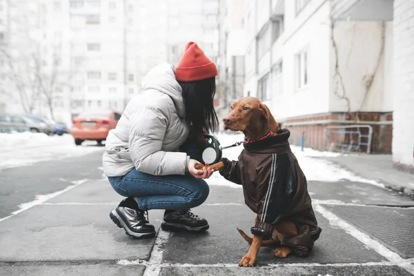 Vacker Flicka Varma Kläder Med Vacker Hund Sitter Vinter Gatan — Stockfoto