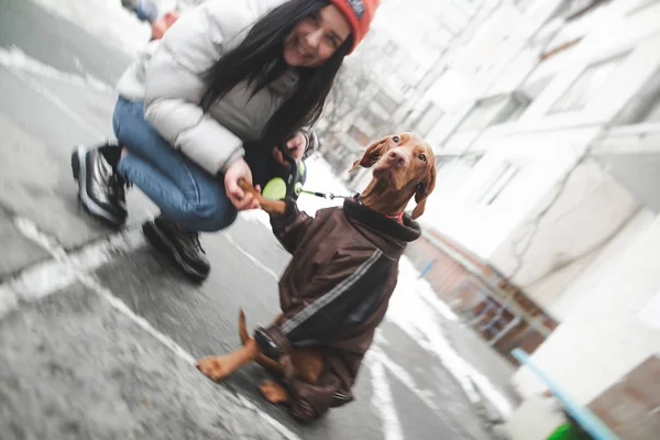 Abstract photo of a dog and a girl, a dog in a trick and center in the background of a winter street and buildings. Winter walk with a dog.