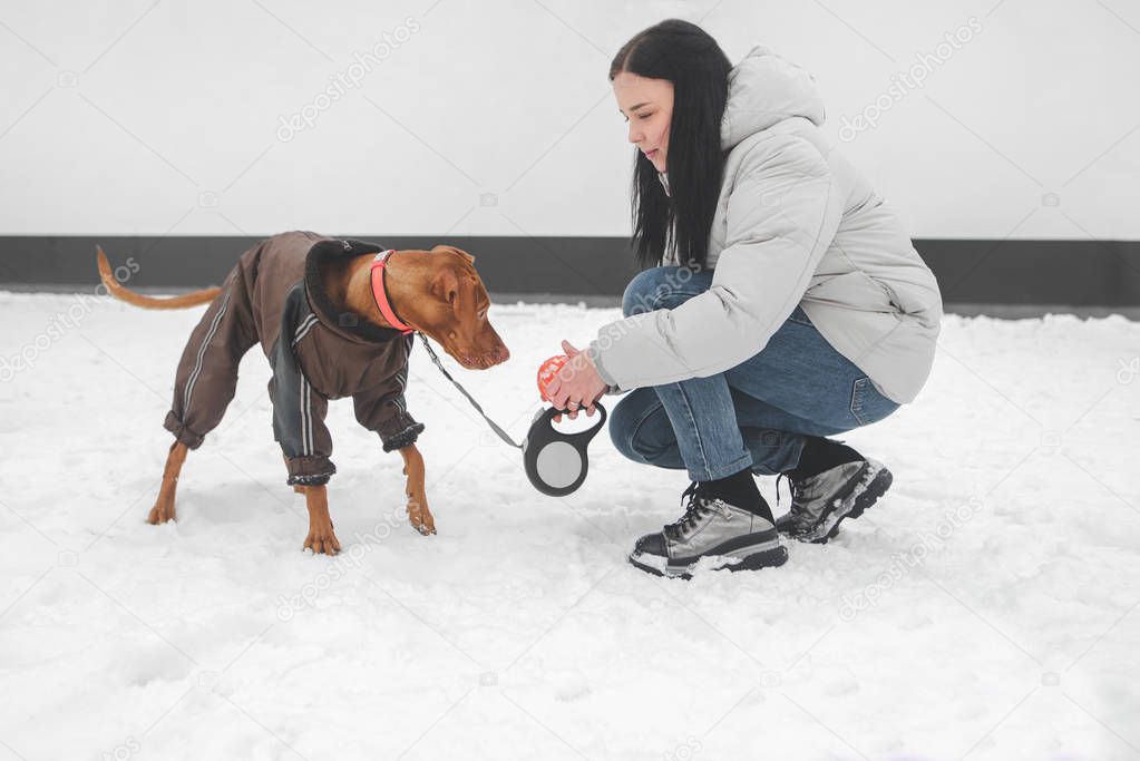 Portrait of a girl playing with a dog the winter season. Woman in winter clothes and a dog jacket the street in the winter are in the snow. Owner of the dog playing the snow.