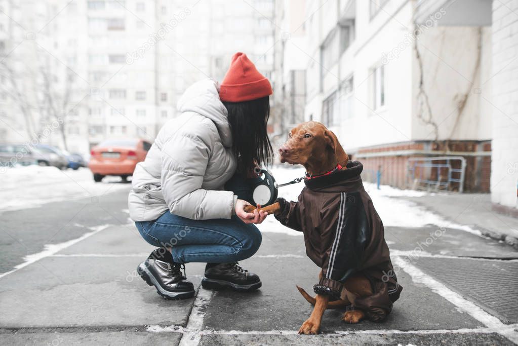 Beautiful girl in warm clothes with a beautiful dog sitting in the winter street, a woman looking at the dog and the doggy aside on the background of the buildings. Walking with the dog in winter