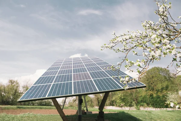 The solar panels are in the bloom garden, spring. Trees bloom in the garden on the background of home solar panels. Green electricity for the home. Solar Electricity Concept.