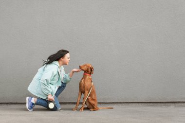 Bir eğlenceli kahverengi köpek ve mutlu bir kız gri bir duvar arka planda oturan ve oynarken. Duvarın arka planda oturan bir yürüyüş, bir evcil hayvan ile gülümseyen bir kadın. Boşaltmak