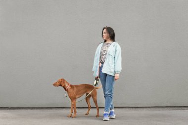 Gri duvarlar bir arka plana karşı mutlu kız ve kahverengi köpek. Sokakta bir köpek yavrusu ile ayakta ve uzağa bakarak, bir tasma bir evcil hayvan tutarak. Boşaltmak