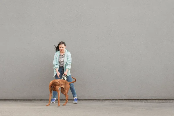 Mujer paseando con un perro juguetón en la calle, foto en el fondo de una pared gris. Propietario con un perro joven marrón se aísla contra el fondo de la pared. Espacio de copia —  Fotos de Stock