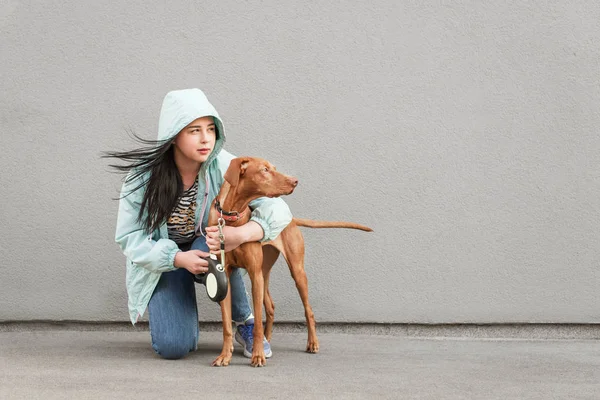 女の子と子犬は灰色の壁の背景に座っています。茶色の犬とカジュアルな服を着た所有者は、コピースペースで横向きに見えます。犬と一緒に街を歩く. — ストック写真