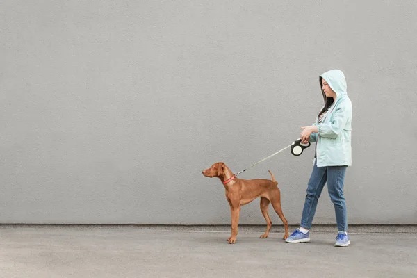 Chica y perro con una correa están caminando contra el fondo de una pared gris. Propietario pasea al perro sobre un fondo gris. Foto de una mujer y una mascota con correa, caminando por la calle . —  Fotos de Stock