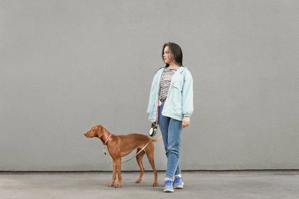Chica feliz y perro marrón sobre un fondo de paredes grises. Mujer de pie con un cachorro en la calle y mirando hacia otro lado, sosteniendo una mascota con una correa. Espacio de copia —  Fotos de Stock