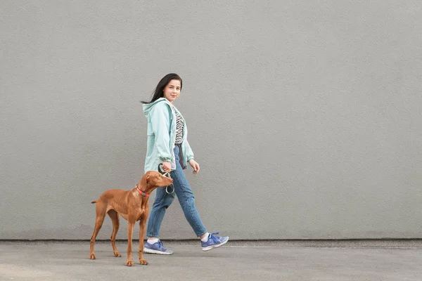 Kobieta ubrana casual Odzież nosi piękny pies na smyczy na ulicy i patrzy na kamerę, na tle szarej ściany. Dziewczyna z psem idzie na szarym tle — Zdjęcie stockowe