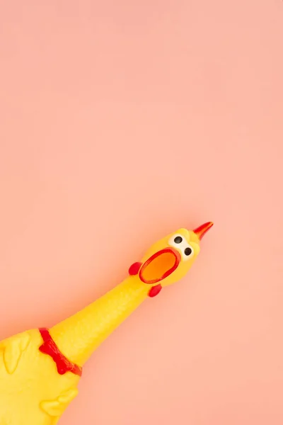 Shocked chicken toy is isolated on a pastel pink background, looks into the camera and yells. Toy chicken, shouting with a mouth open on a pink background. Isolated