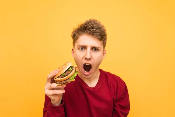 Забавный, голодный молодой человек в повседневной одежде держит бургер в руках, смотрит в камеру с открытым ртом, портрет крупным планом на жёлтом фоне. Эмоциональный студент и фаст-фуд . — стоковое фото